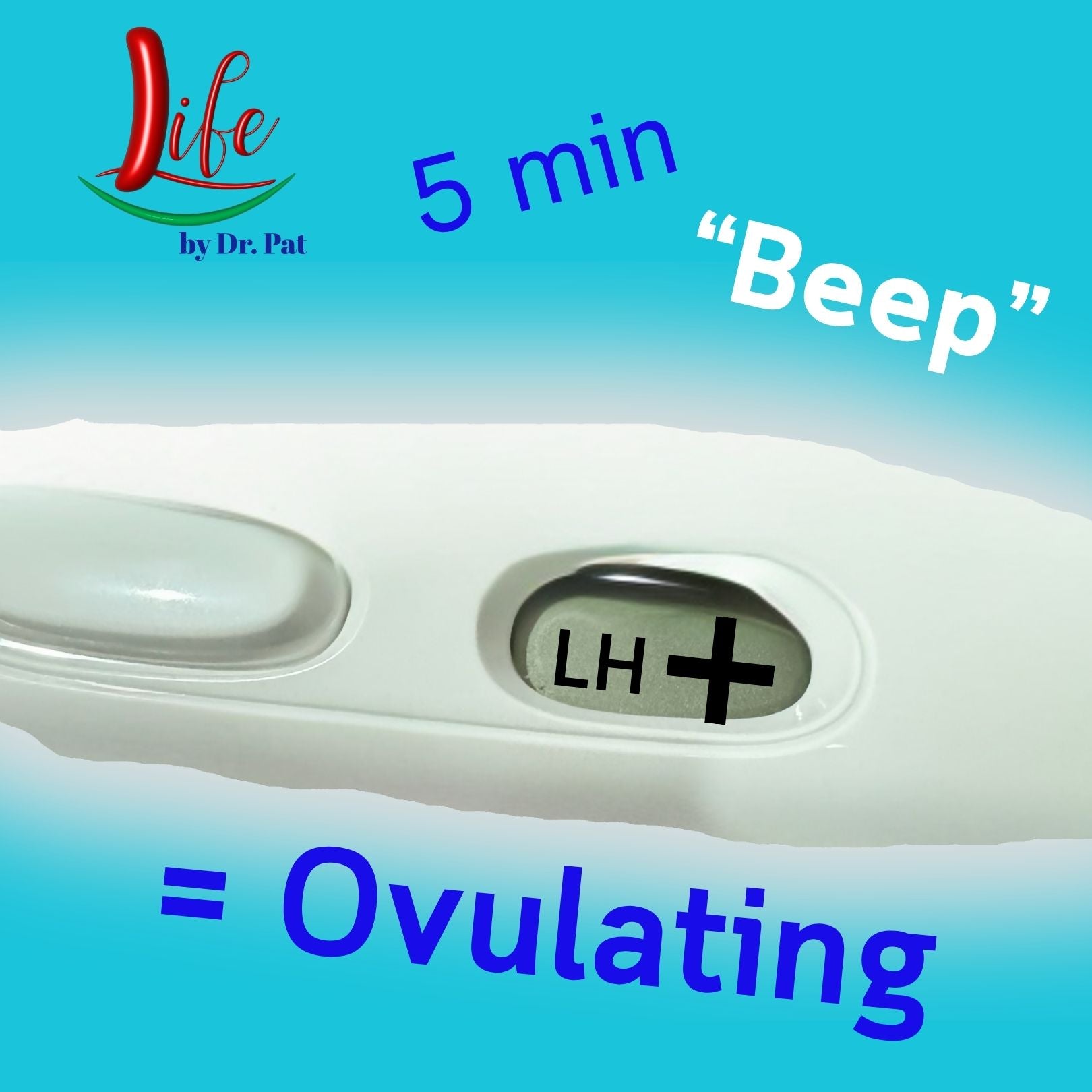 Digital ovulation and pregnancy test kit